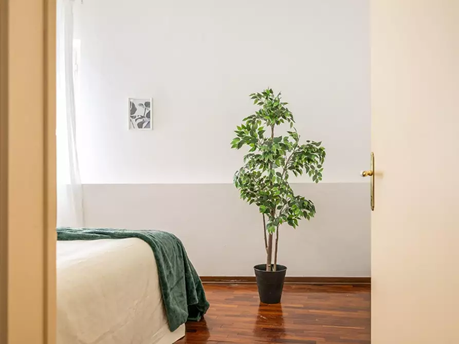 Immagine 29 di Appartamento in vendita  a Vicopisano