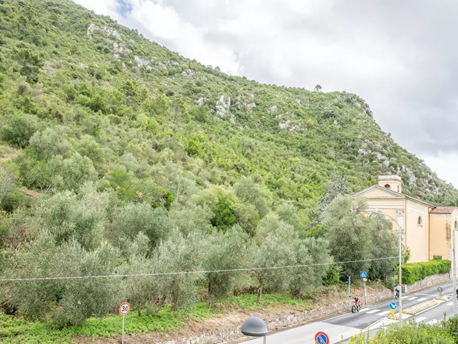 Immagine 6 di Appartamento in vendita  a Vicopisano