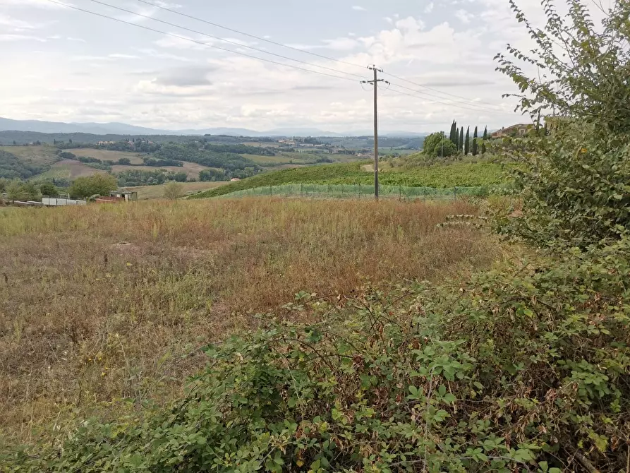 Immagine 2 di Terreno agricolo in vendita  a Poggibonsi