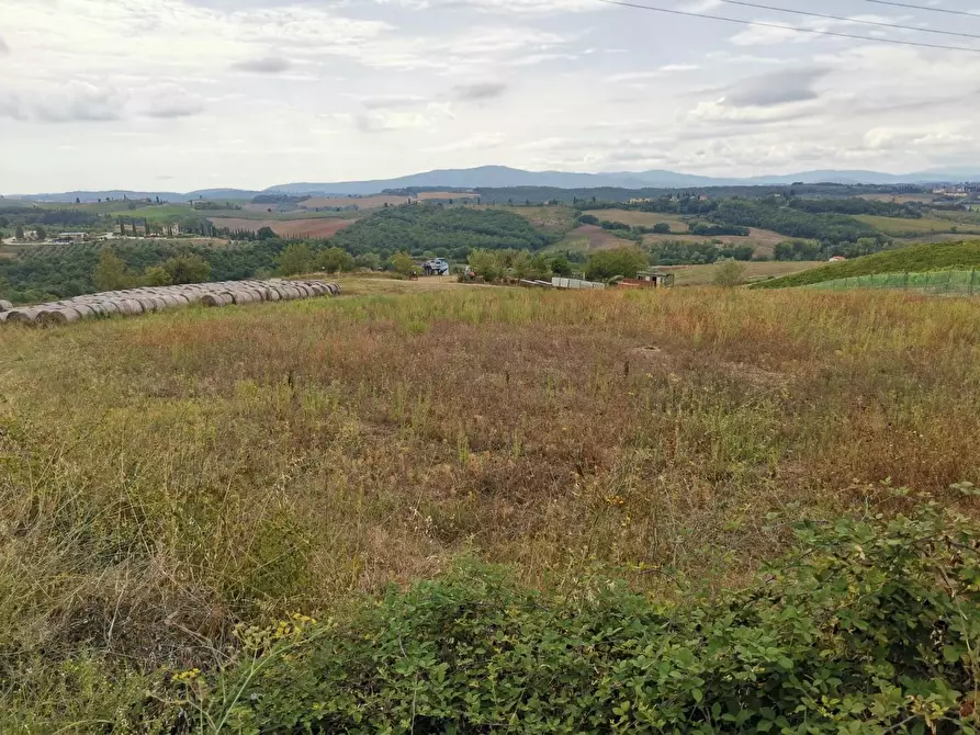 Immagine 4 di Terreno agricolo in vendita  a Poggibonsi