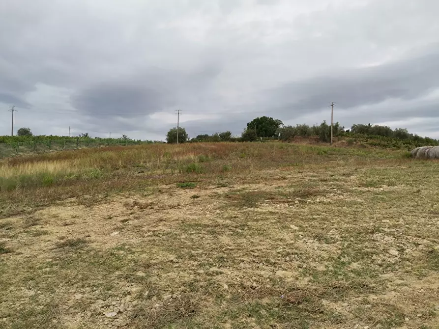 Immagine 10 di Terreno agricolo in vendita  a Poggibonsi