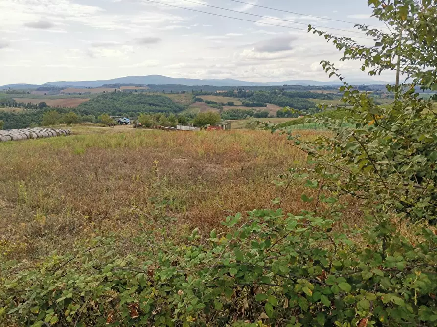 Immagine 5 di Terreno agricolo in vendita  a Poggibonsi
