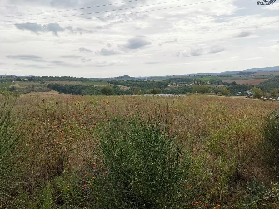 Immagine 3 di Terreno agricolo in vendita  a Poggibonsi