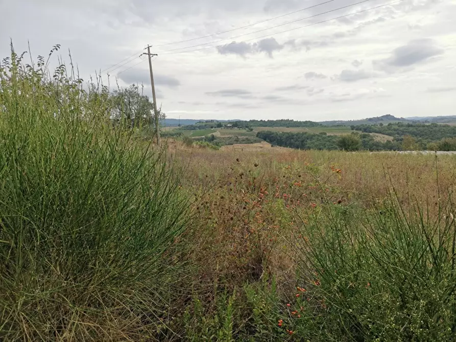 Immagine 8 di Terreno agricolo in vendita  a Poggibonsi