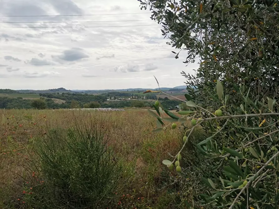 Immagine 7 di Terreno agricolo in vendita  a Poggibonsi