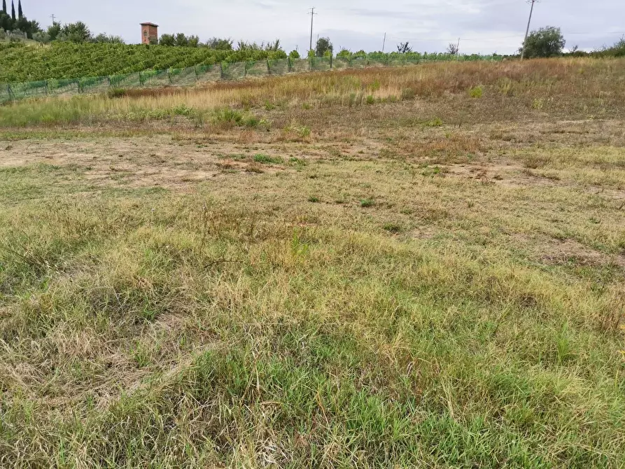 Immagine 9 di Terreno agricolo in vendita  a Poggibonsi