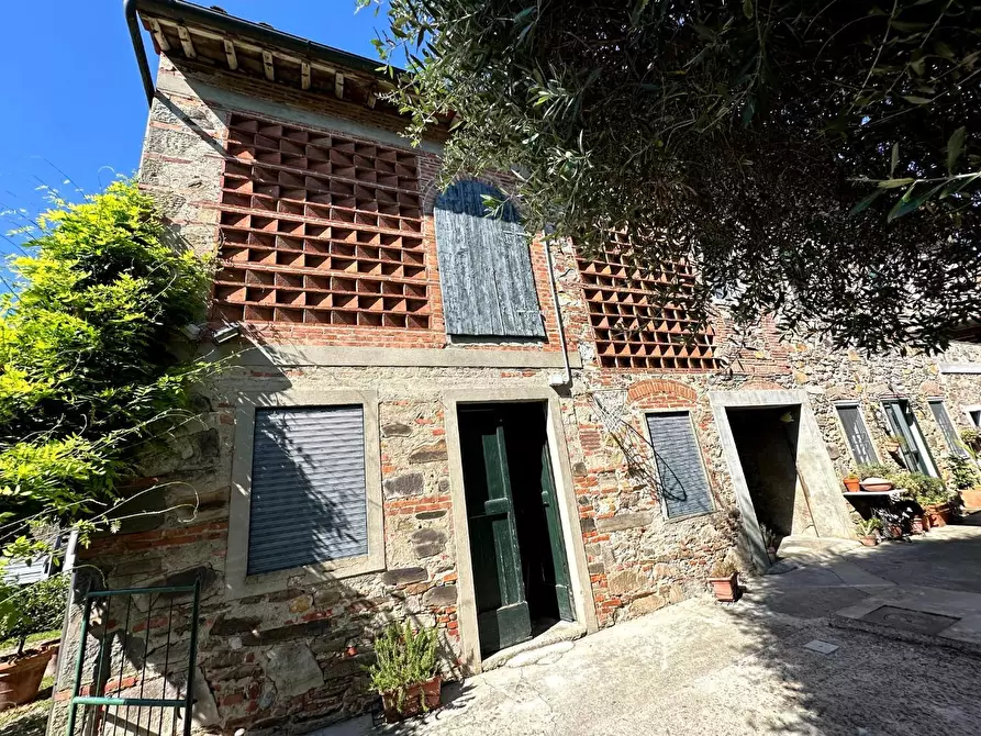 Immagine 53 di Rustico / casale in vendita  a Capannori