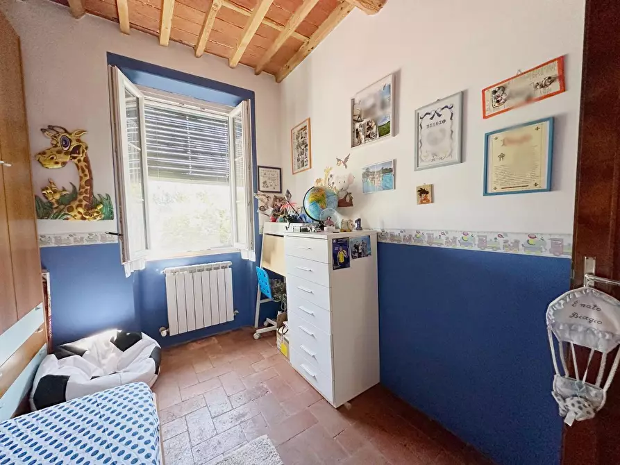 Immagine 27 di Rustico / casale in vendita  a Capannori