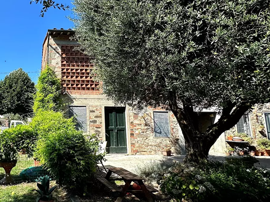 Immagine 47 di Rustico / casale in vendita  a Capannori