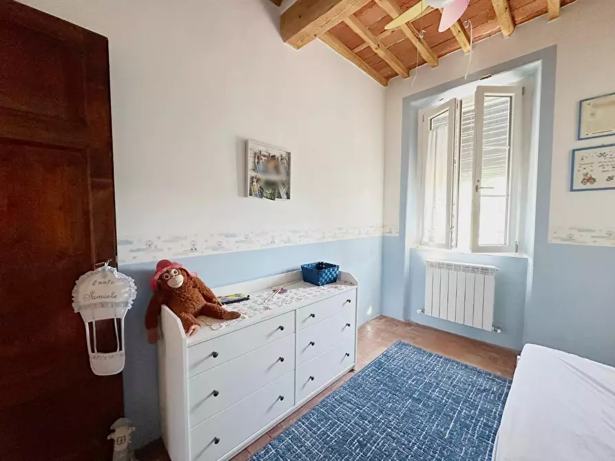 Immagine 31 di Rustico / casale in vendita  a Capannori