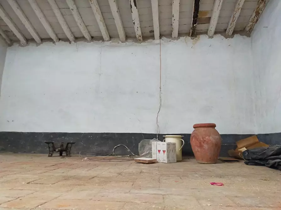 Immagine 4 di Terratetto in vendita  a Vecchiano