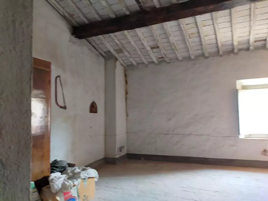 Immagine 3 di Terratetto in vendita  a Vecchiano