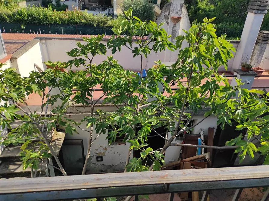 Immagine 32 di Terratetto in vendita  a Empoli