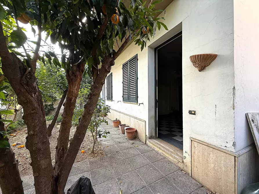 Immagine 29 di Terratetto in vendita  a Empoli