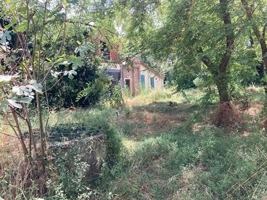 Immagine 2 di Casa colonica in vendita  a Cascina