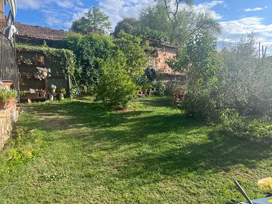 Immagine 2 di Casa indipendente in vendita  a Murlo