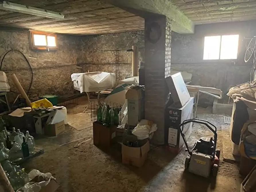 Immagine 17 di Casa indipendente in vendita  a Terricciola