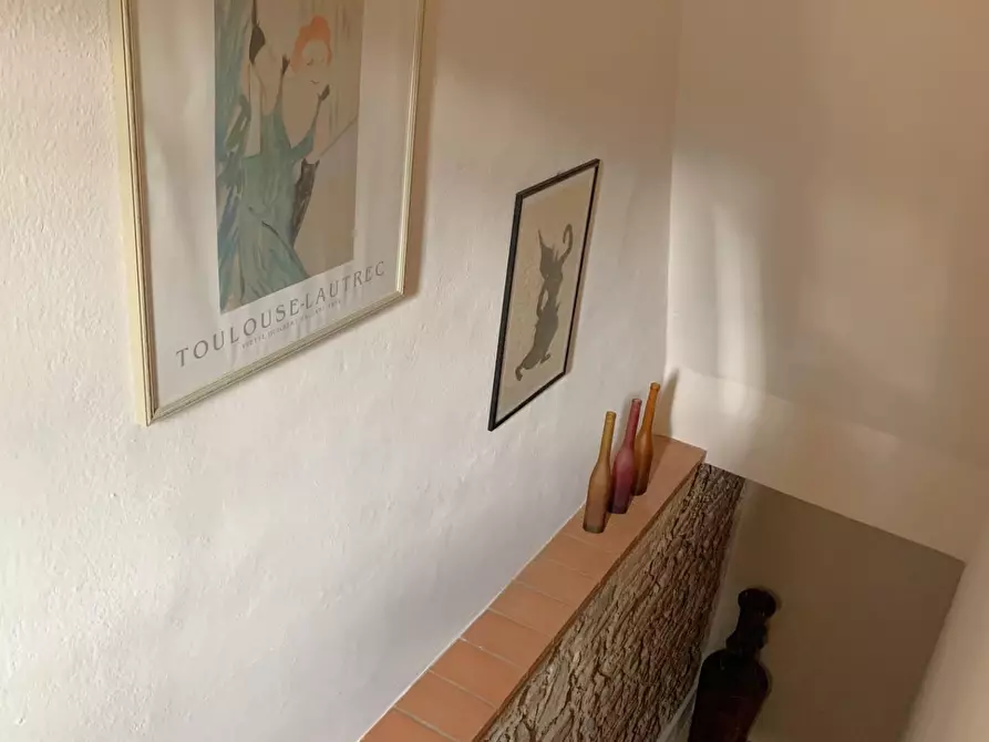 Immagine 6 di Casa bifamiliare in vendita  a Vecchiano