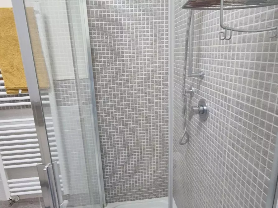 Immagine 23 di Appartamento in vendita  a Viareggio