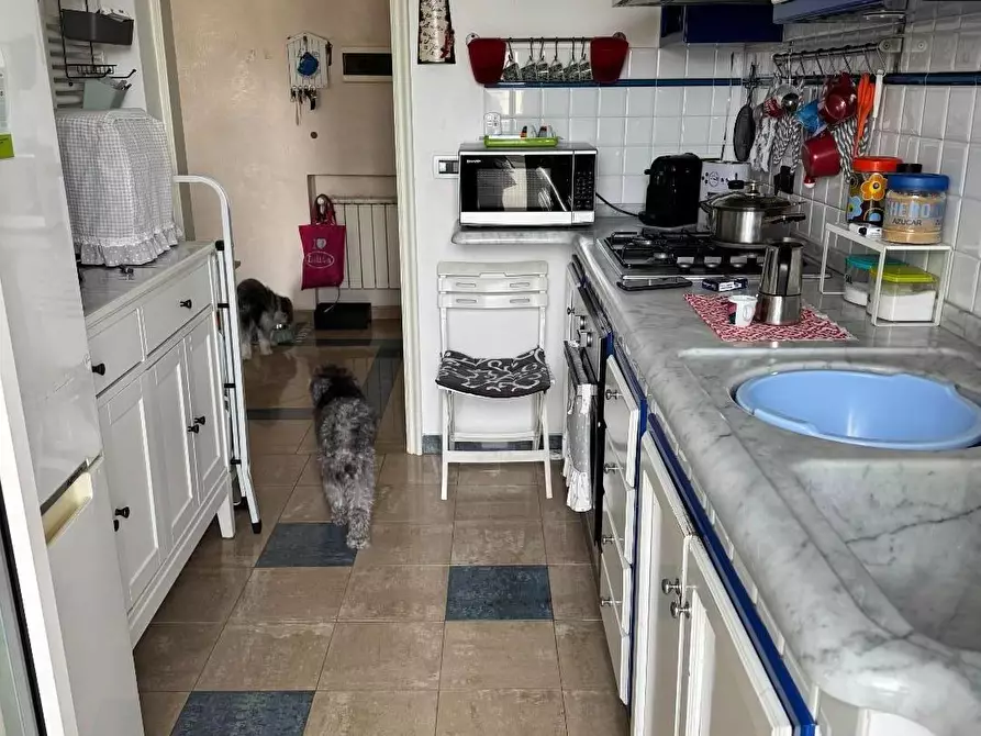 Immagine 6 di Mansarda in vendita  a Viareggio