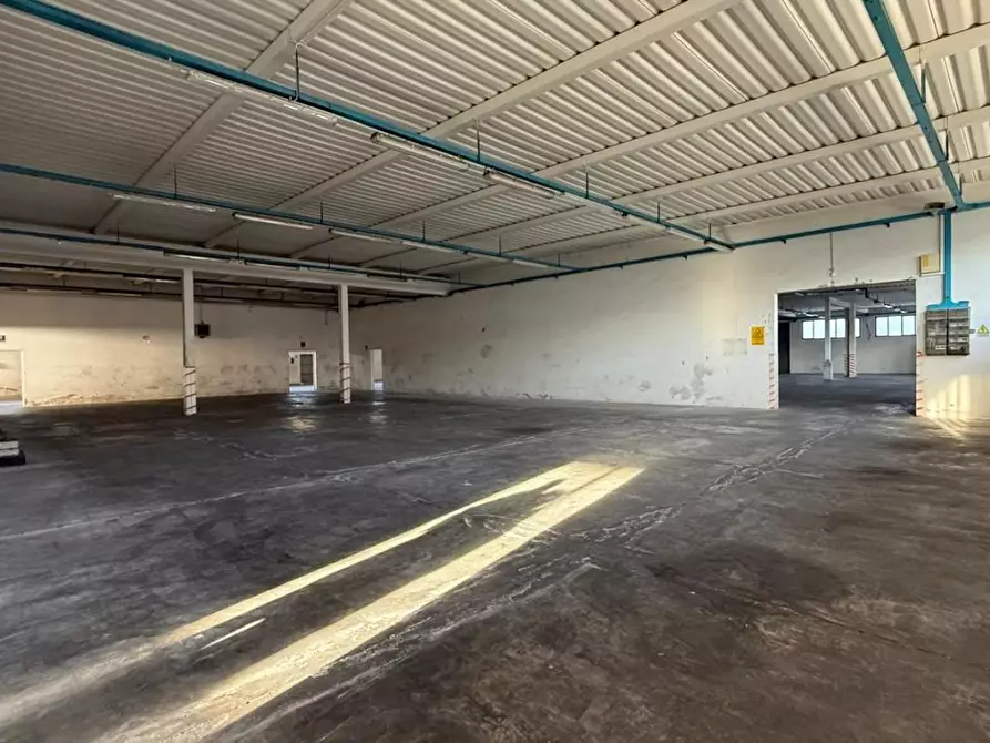 Immagine 6 di Capannone industriale in affitto  a Castelfranco Di Sotto