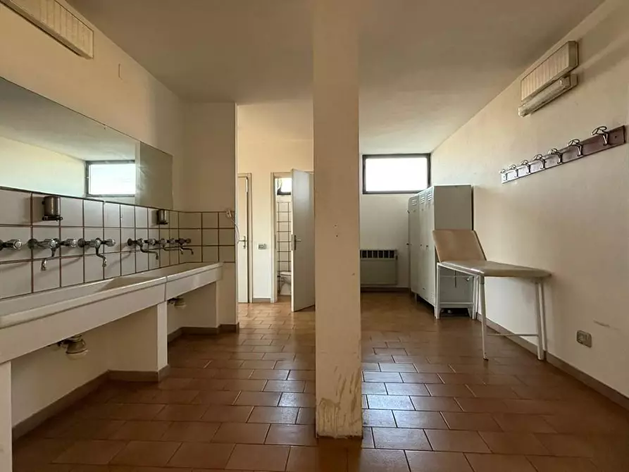 Immagine 13 di Capannone industriale in affitto  a Castelfranco Di Sotto