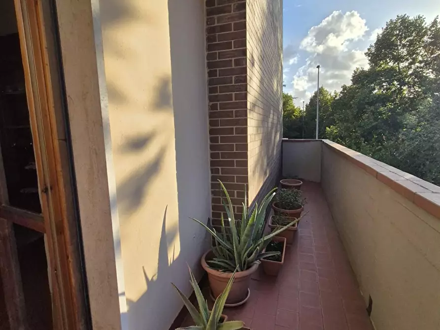 Immagine 20 di Appartamento in vendita  a Santa Croce Sull'arno