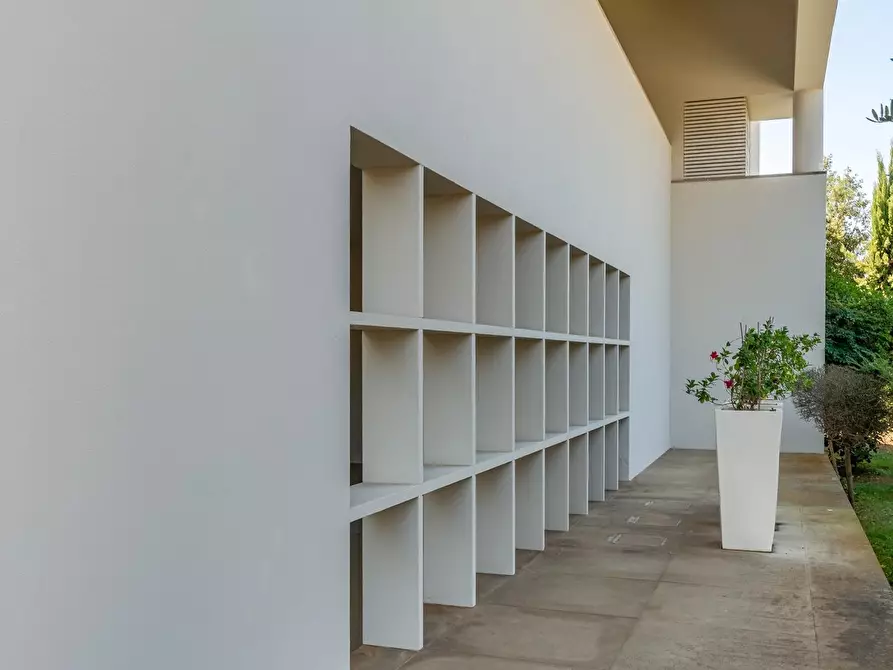 Immagine 5 di Villa in vendita  a Ponsacco