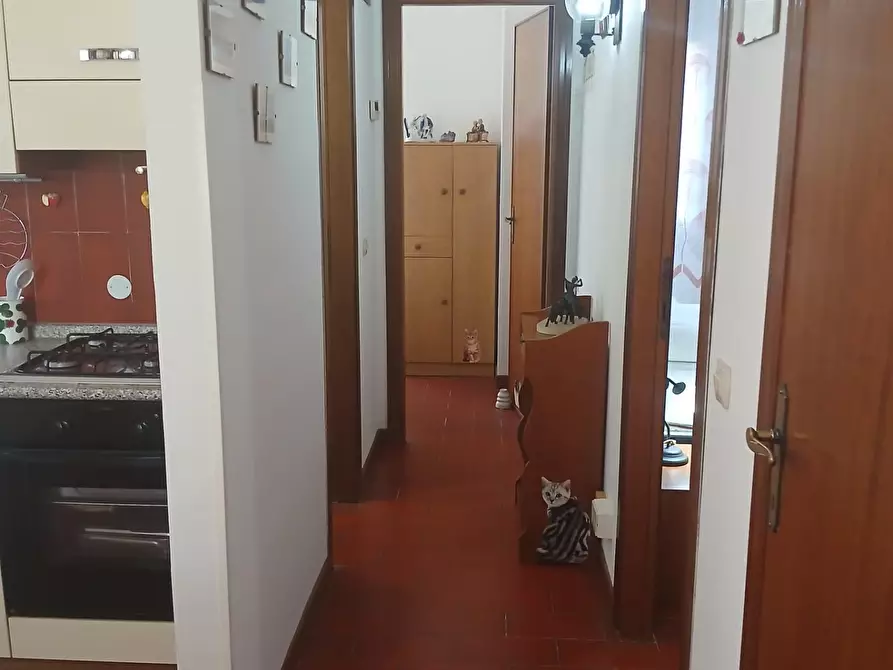 Immagine 4 di Appartamento in affitto  a Pisa