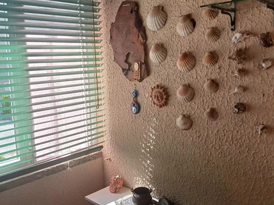 Immagine 21 di Appartamento in affitto  a Pisa