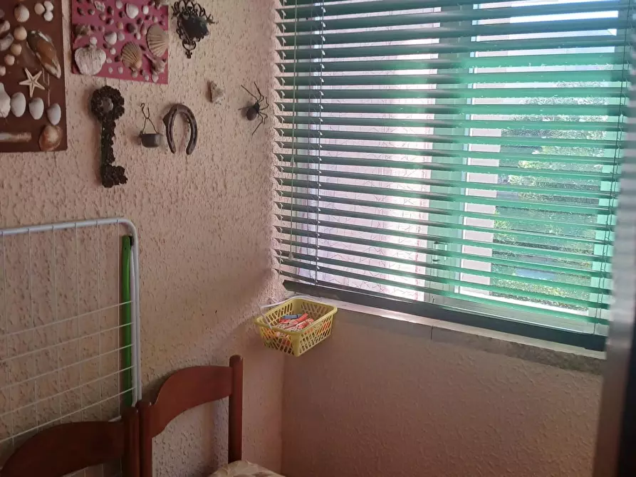 Immagine 20 di Appartamento in affitto  a Pisa