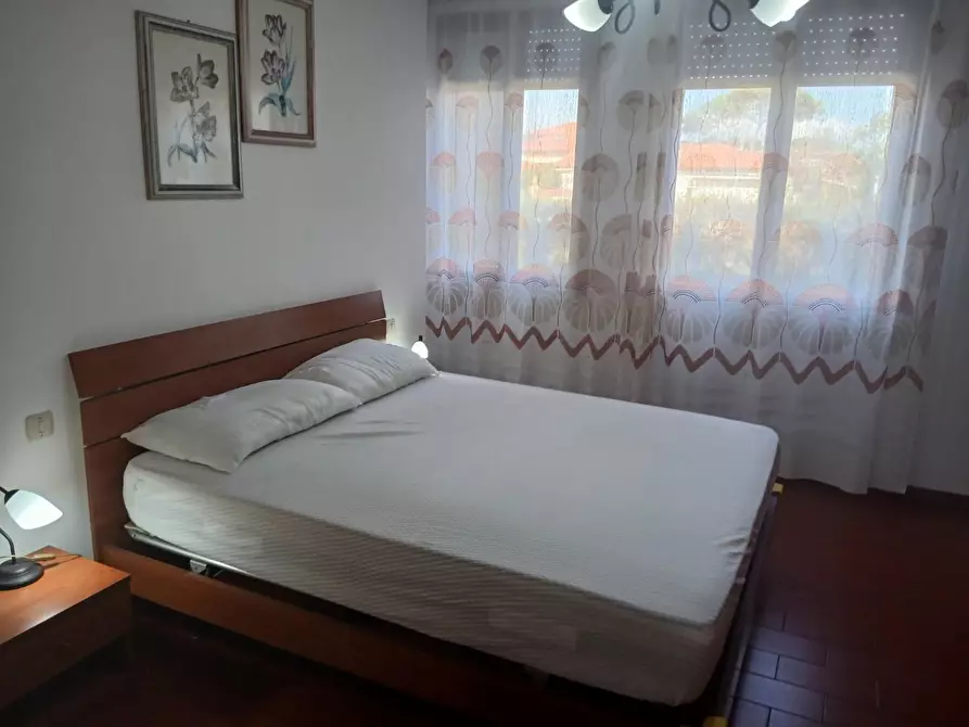 Immagine 19 di Appartamento in affitto  a Pisa