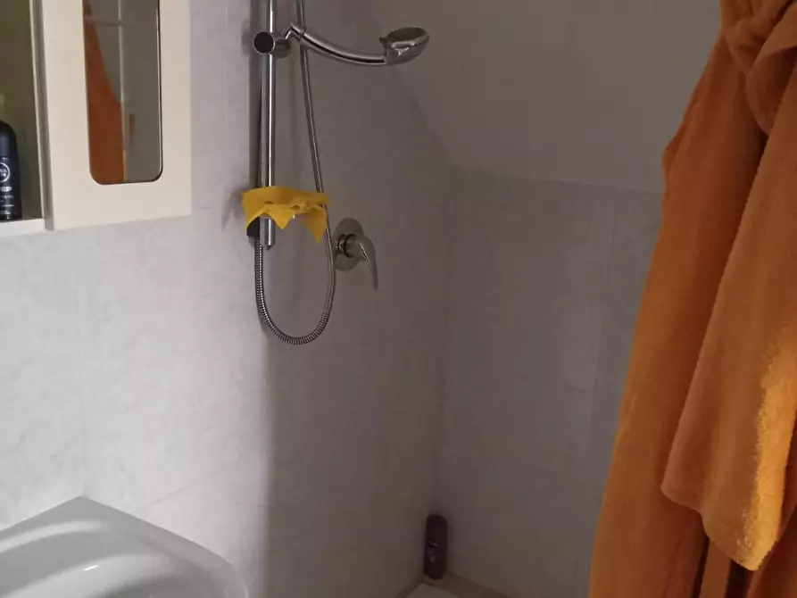 Immagine 30 di Terratetto in vendita  a Massa