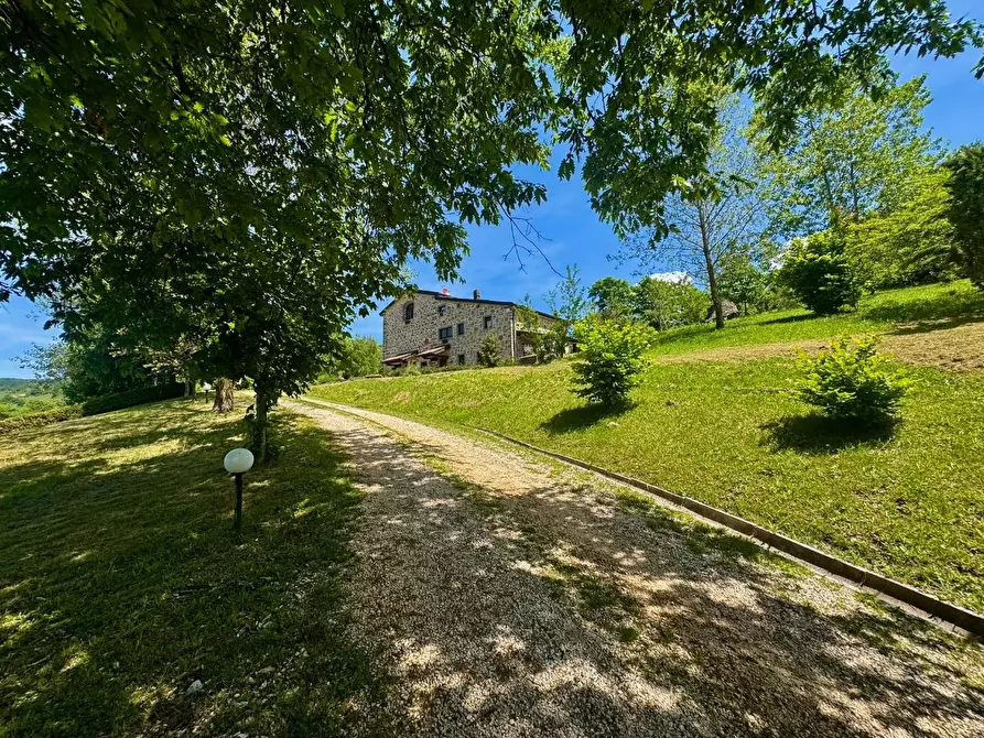 Immagine 24 di Agriturismo in vendita  a Firenzuola