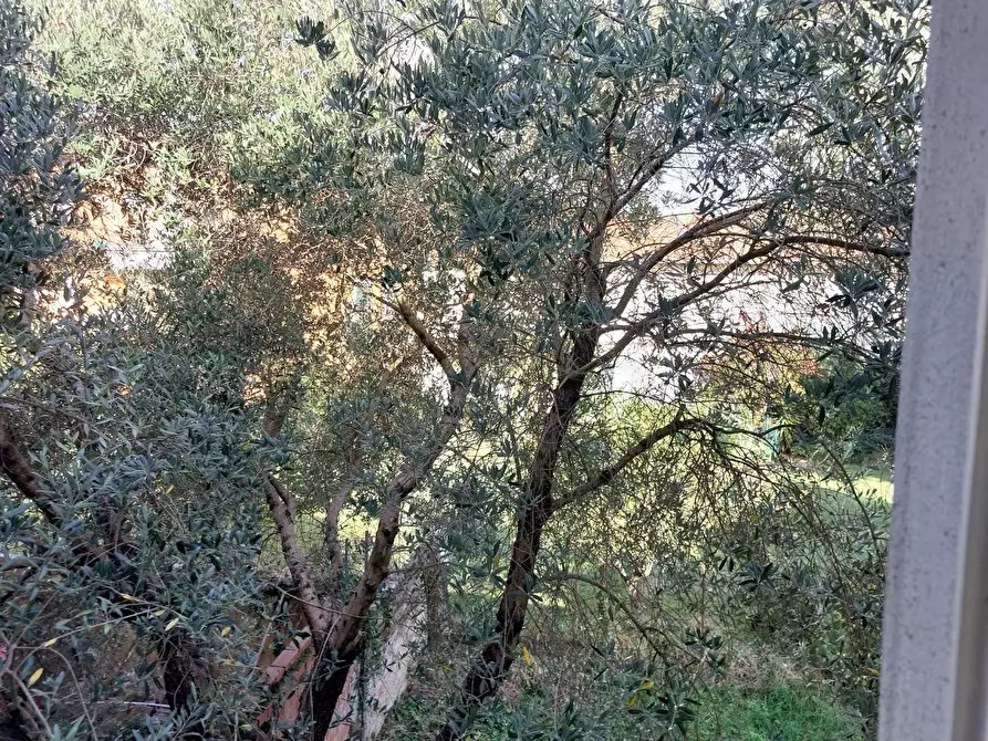 Immagine 19 di Appartamento in vendita  a Santa Croce Sull'arno