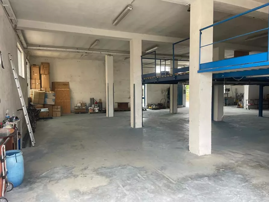 Immagine 6 di Attività artigianale in vendita  a Terricciola