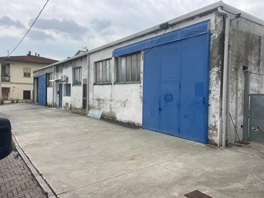 Immagine 2 di Attività artigianale in vendita  a Terricciola