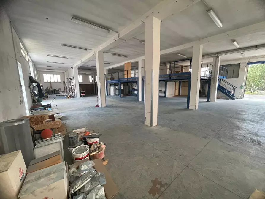 Immagine 5 di Attività artigianale in vendita  a Terricciola