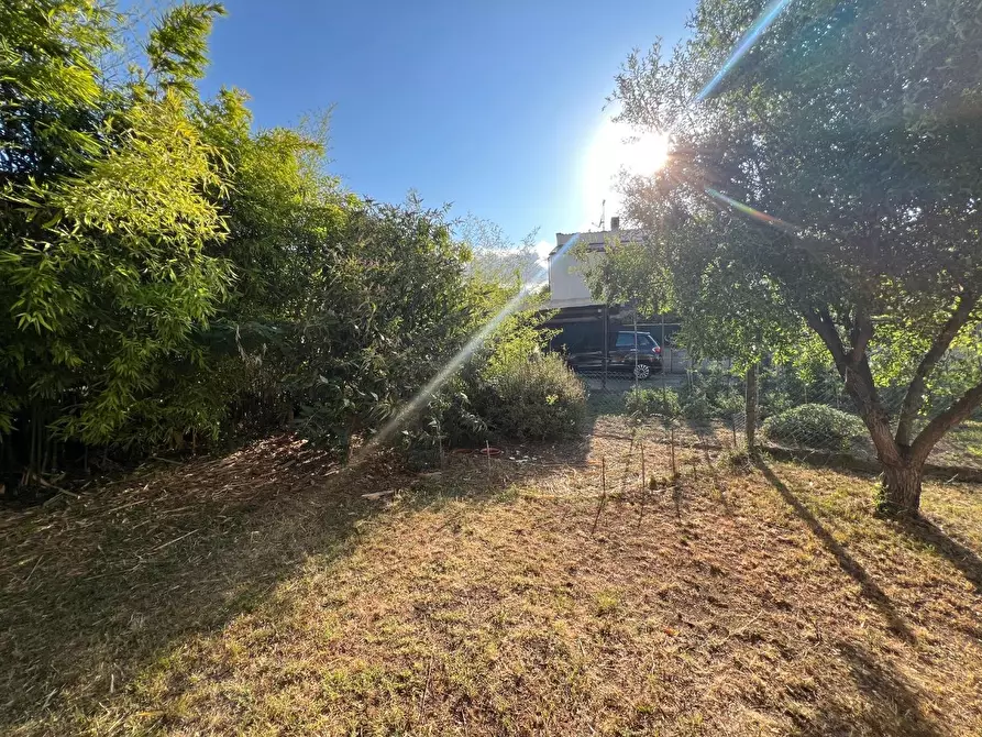 Immagine 23 di Casa trifamiliare in vendita  a Buti