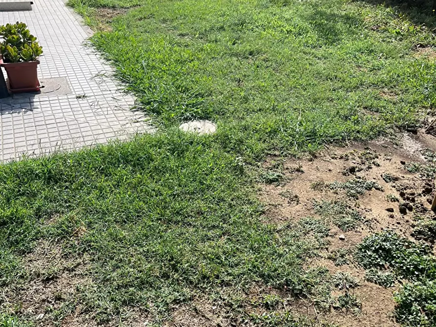 Immagine 3 di Appartamento in vendita  a Ponsacco