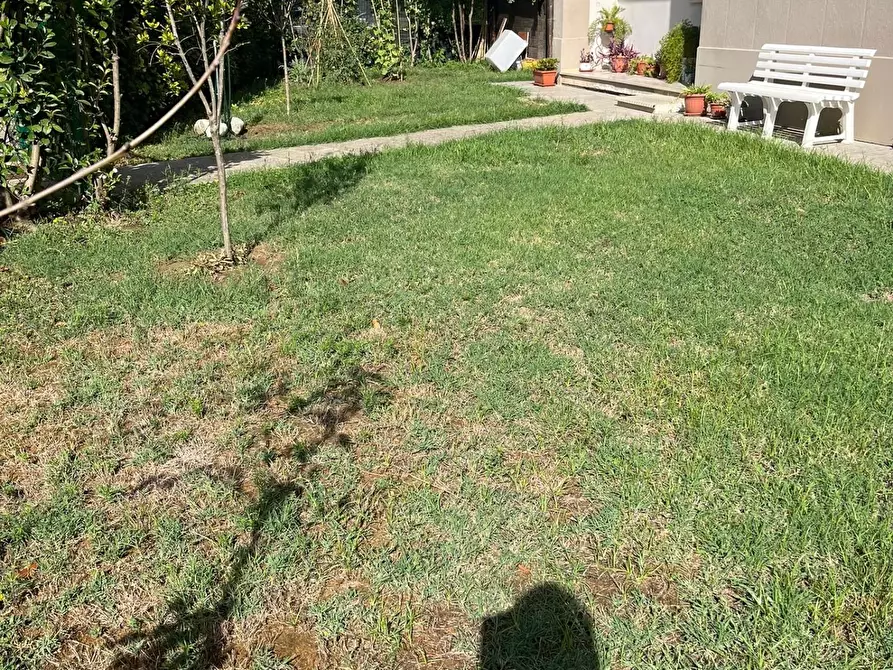 Immagine 5 di Appartamento in vendita  a Ponsacco