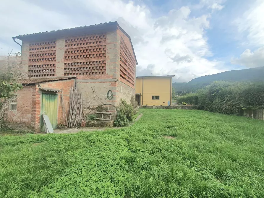 Immagine 34 di Villa in vendita  a Capannori