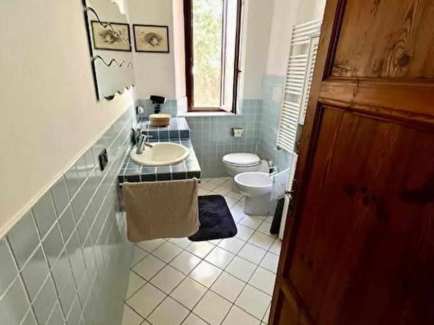 Immagine 24 di Terratetto in vendita  a Vecchiano