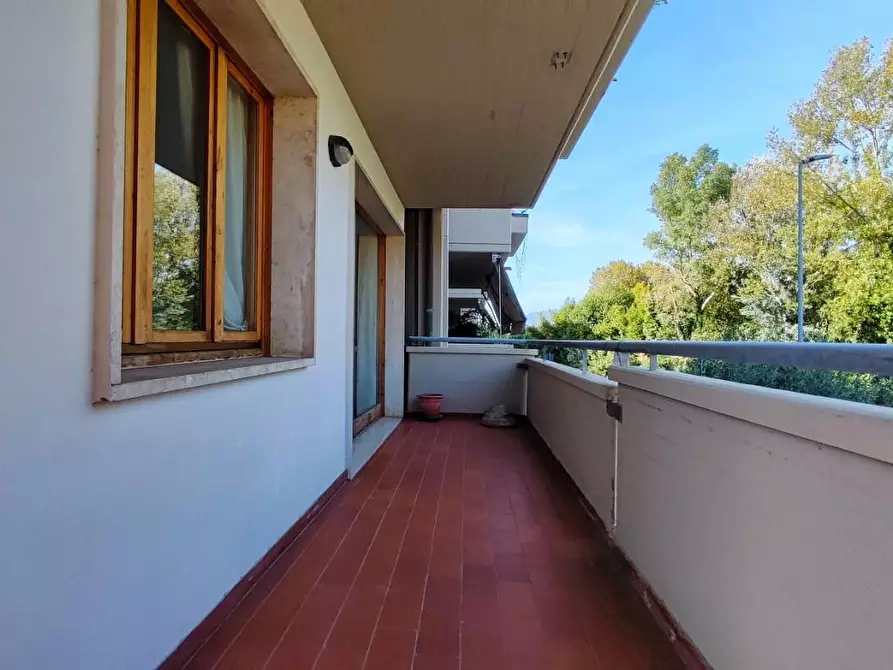 Immagine 16 di Appartamento in vendita  a Viareggio