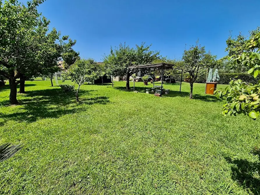 Immagine 8 di Villa in vendita  a Cascina