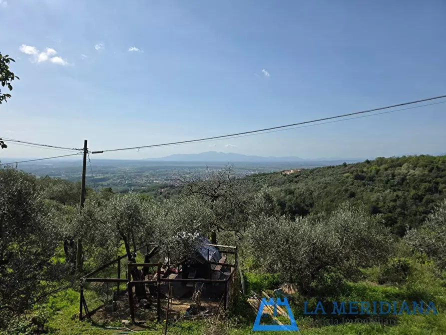 Immagine 32 di Terratetto in vendita  a Lamporecchio