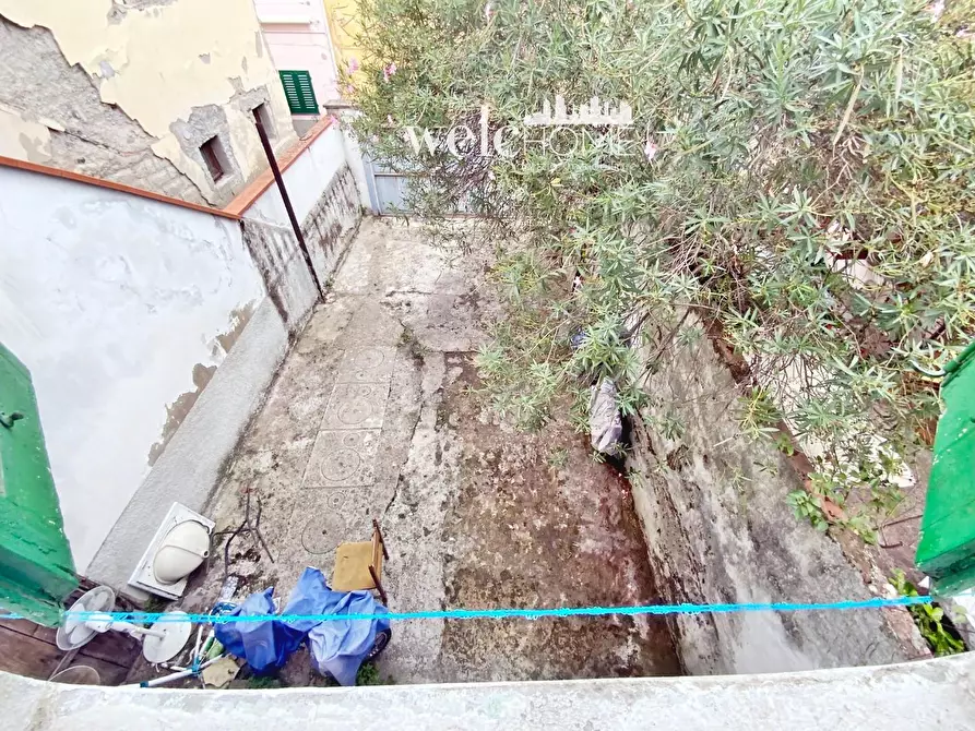 Immagine 4 di Terratetto in vendita  a Campi Bisenzio