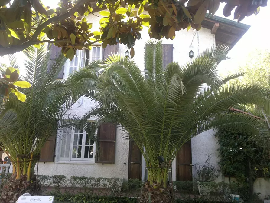 Immagine 4 di Casa bifamiliare in vendita  a Montignoso