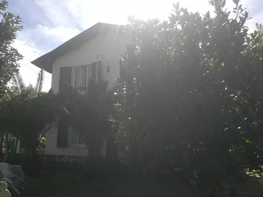 Immagine 3 di Casa bifamiliare in vendita  a Montignoso