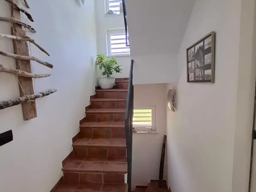 Immagine 35 di Villa in vendita  a Castelnuovo Magra